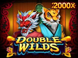 Double Wilds game icon